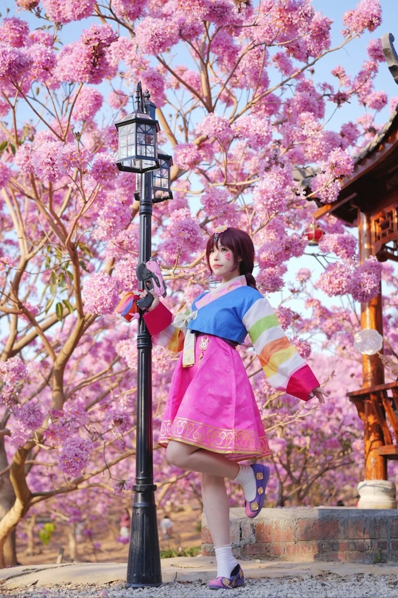 cosplay d va​ 14