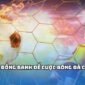 Giải mã kèo đồng banh và cách chơi chắc thắng từ cao thủ