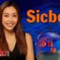 12BET TOP VIP Bật Mí Bí Kíp Quản Lý Vốn Sicbo Giúp Ăn Tiền Cực Đã