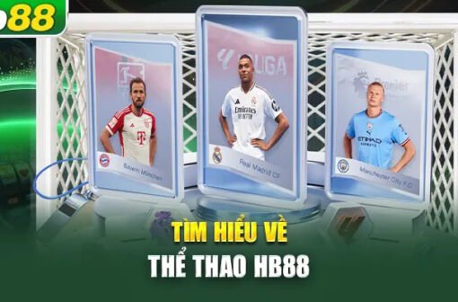 Thể thao Hb88 – Trải nghiệm cá cược thể thao online uy tín