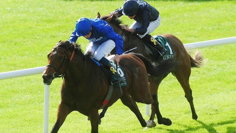  Giao diện xem đua ngựa trực tiếp trên app của nhà cái 98win