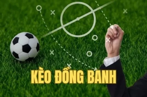 Kèo đồng banh nửa trái là gì? Cách thức tính kèo đồng banh nửa trái