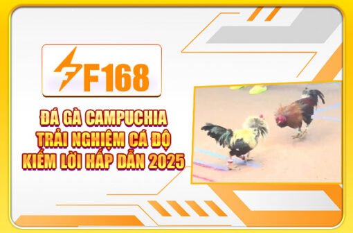 Đá Gà Campuchia – Trải Nghiệm Chọi Kê Kiếm Lời Hấp Dẫn 2025