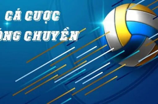 Hướng Dẫn Cá Cược Bóng Chuyền Từ Cơ Bản Đến Nâng Cao Cho Người Mới